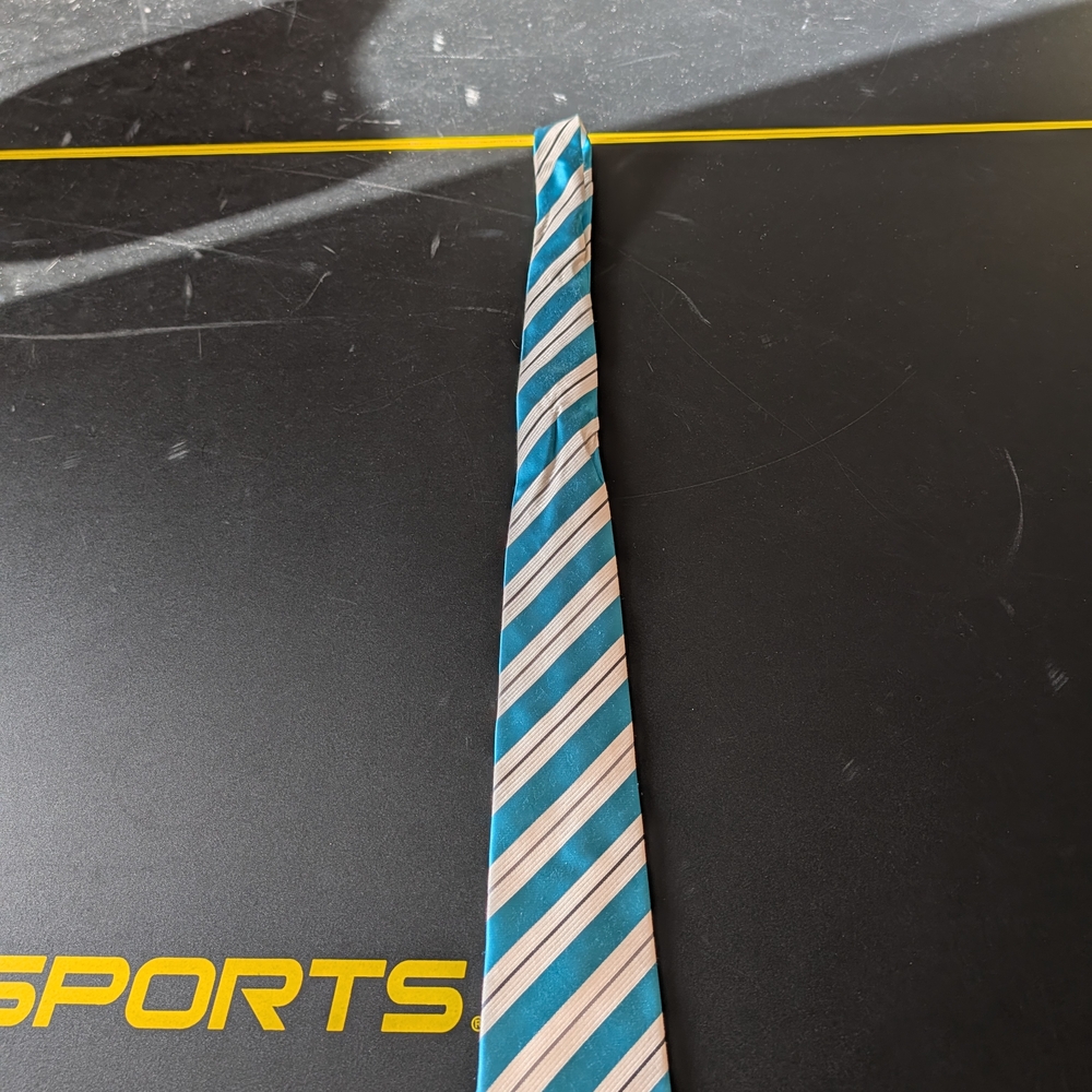 Countess Mara Striped Silk Blue and White Tie